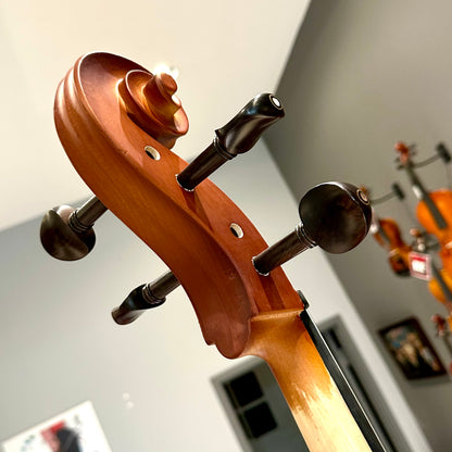 Strumenti a Corde 107: Student Cello, Solid Spruce Top, Matte Finish - 4/4