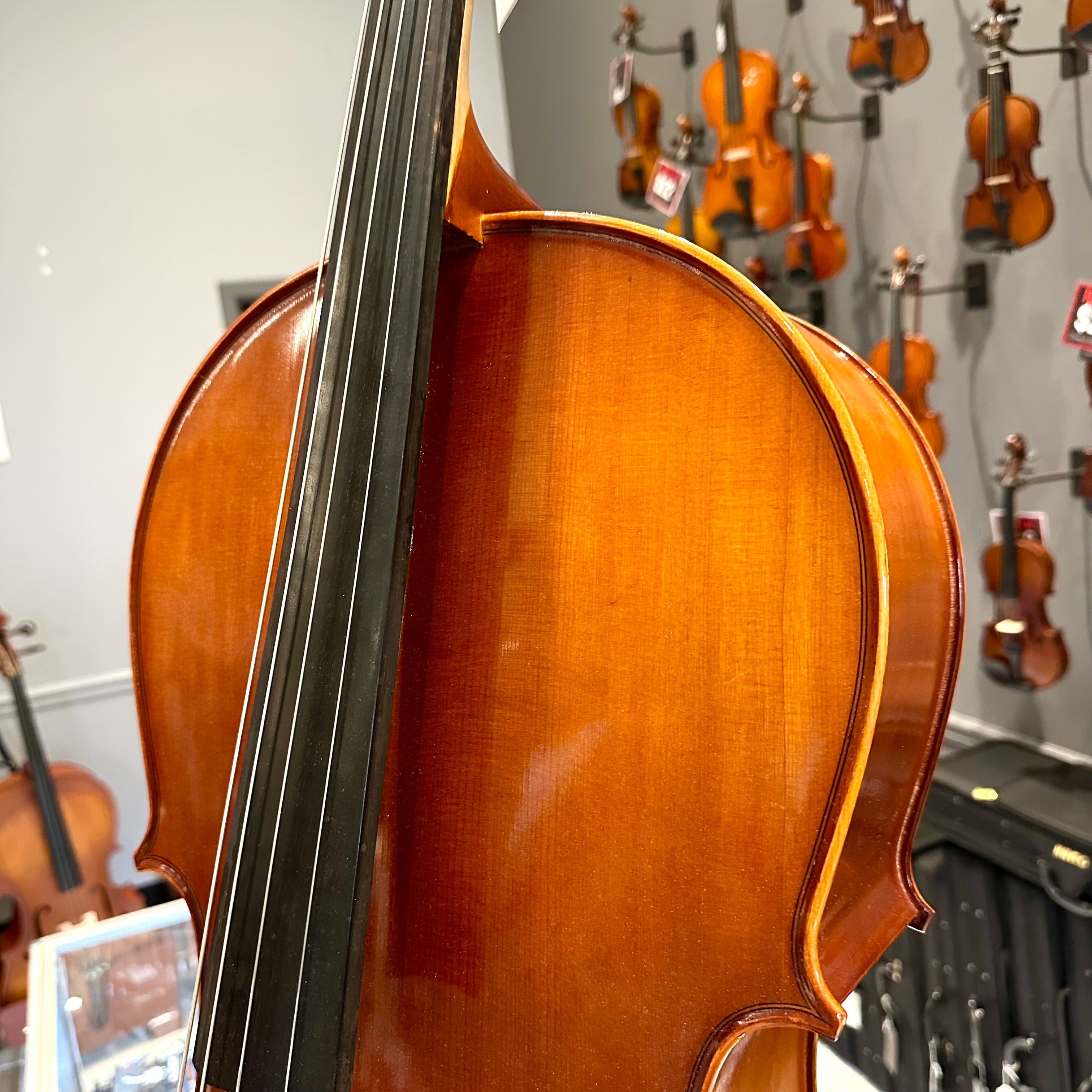 Eastman VC100: Student Cello - 4/4