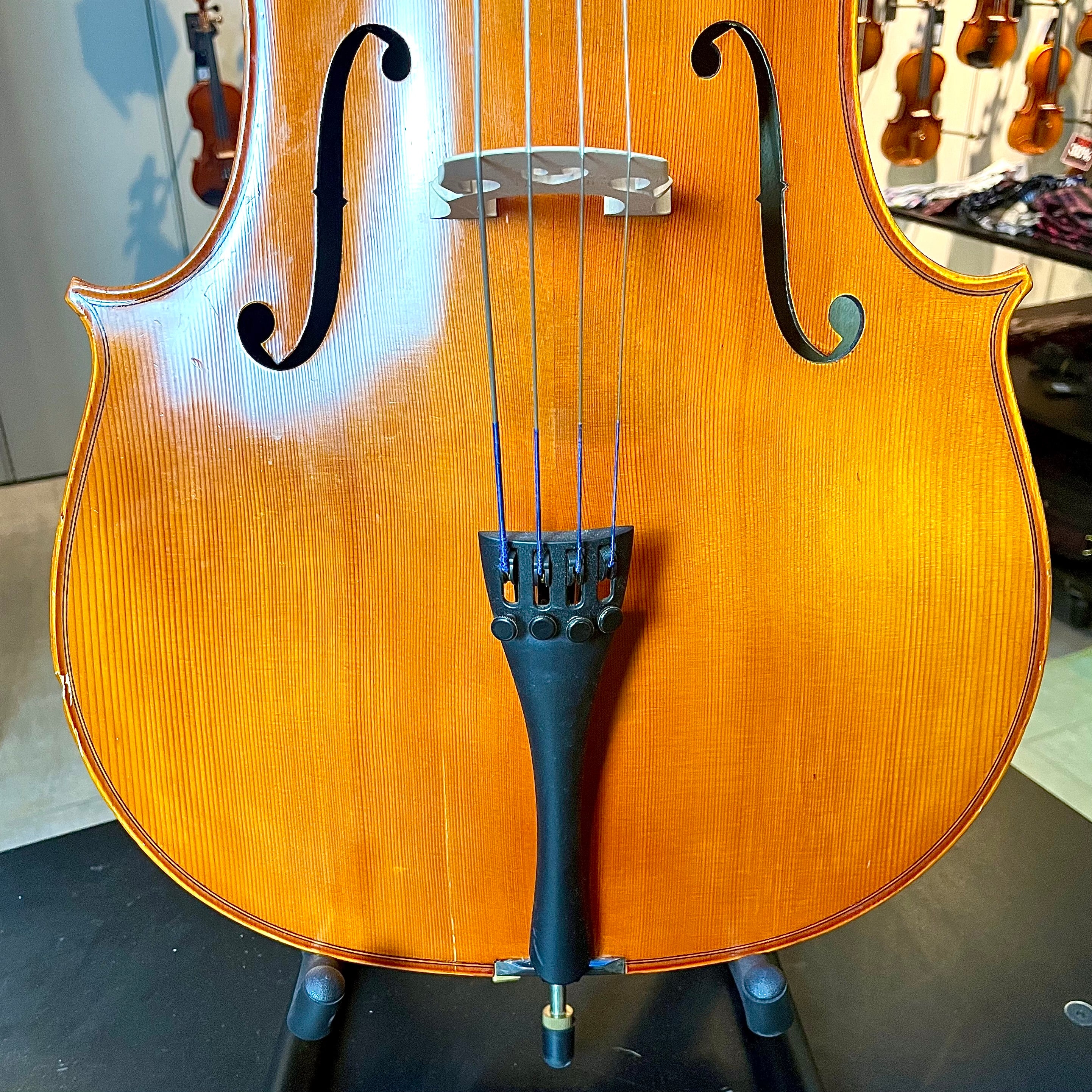 Segue: Concertino, 1/2 Cello, anno 2012