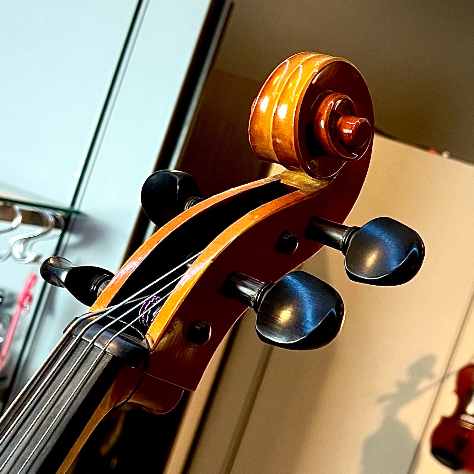 Segue: Concertino, 1/2 Cello, anno 2012