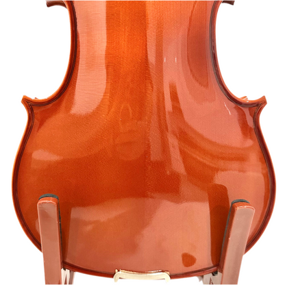 Phoenix MVP101H Evonomical Violin - 4/4