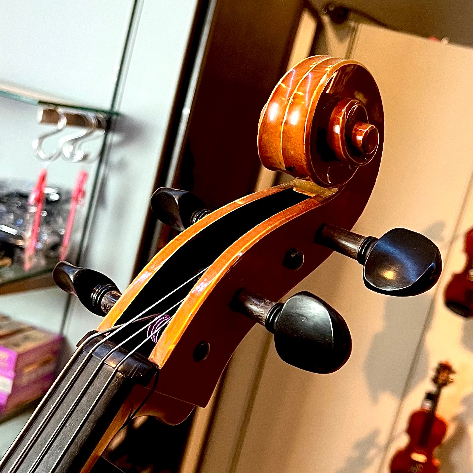 Segue: Concertino Plus, 1/2 Cello, anno 2016