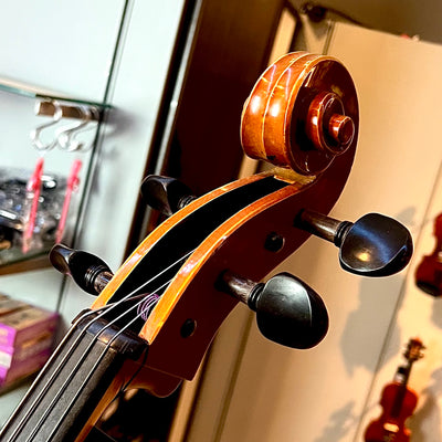 Segue: Concertino Plus, 1/2 Cello, anno 2016