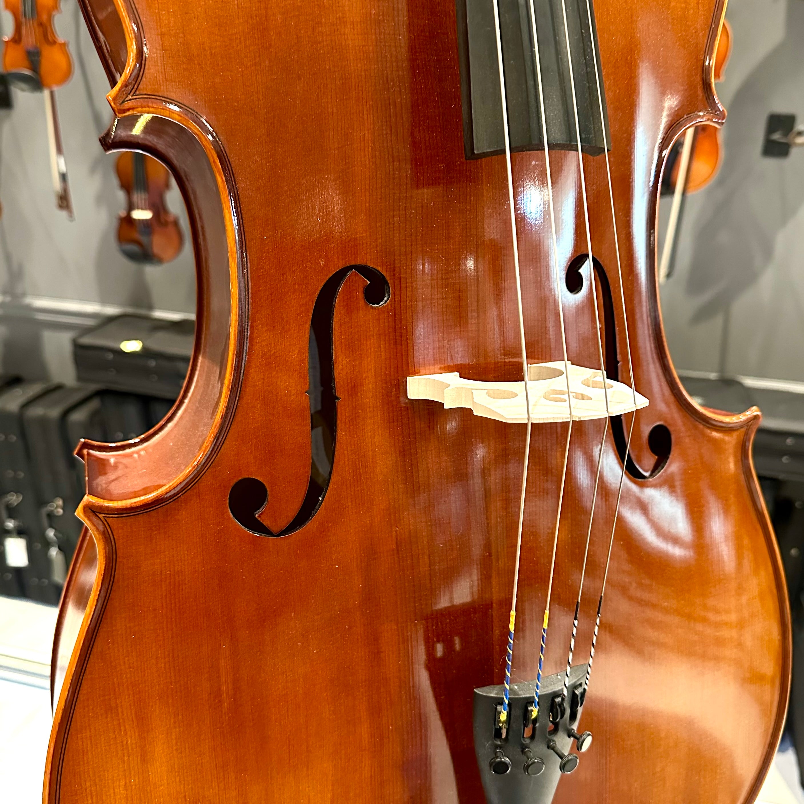 Eastman VC100: Student Cello - 4/4