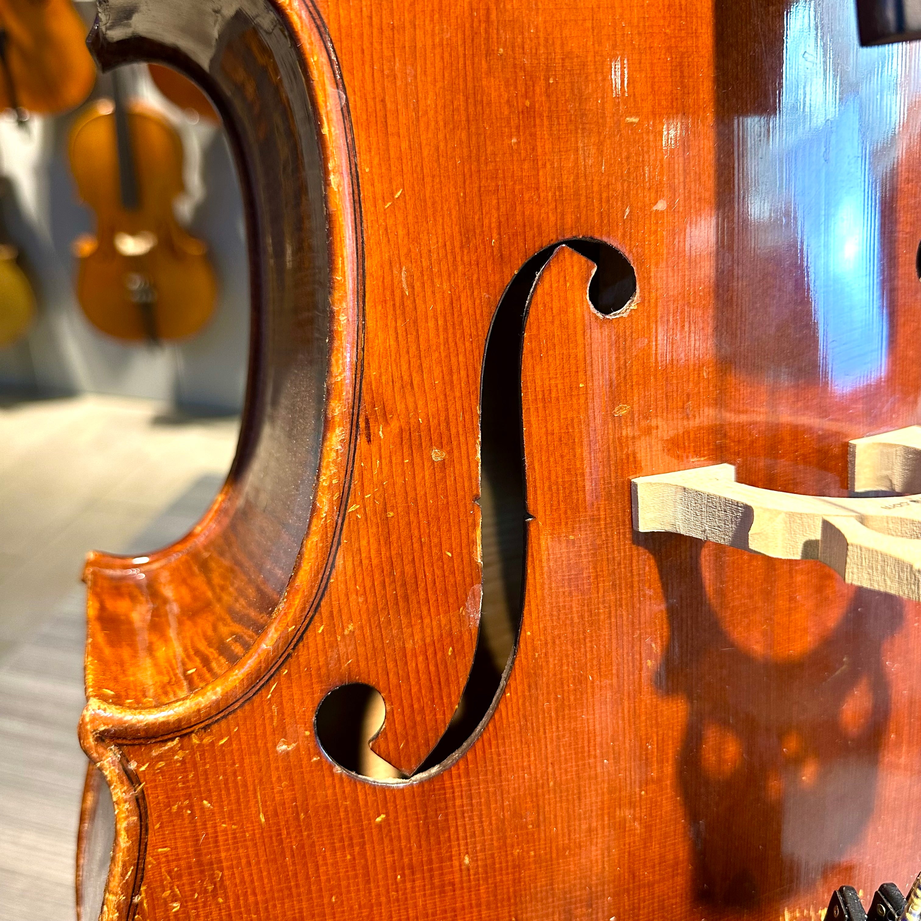 Golden Bamboo from Quinn Violin: 1/2 Cello, anno 2000