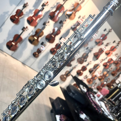 Hod Beginner: Student Flute, Ecomonical