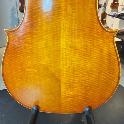 Segue: Concertino Plus, 1/2 Cello, anno 2016