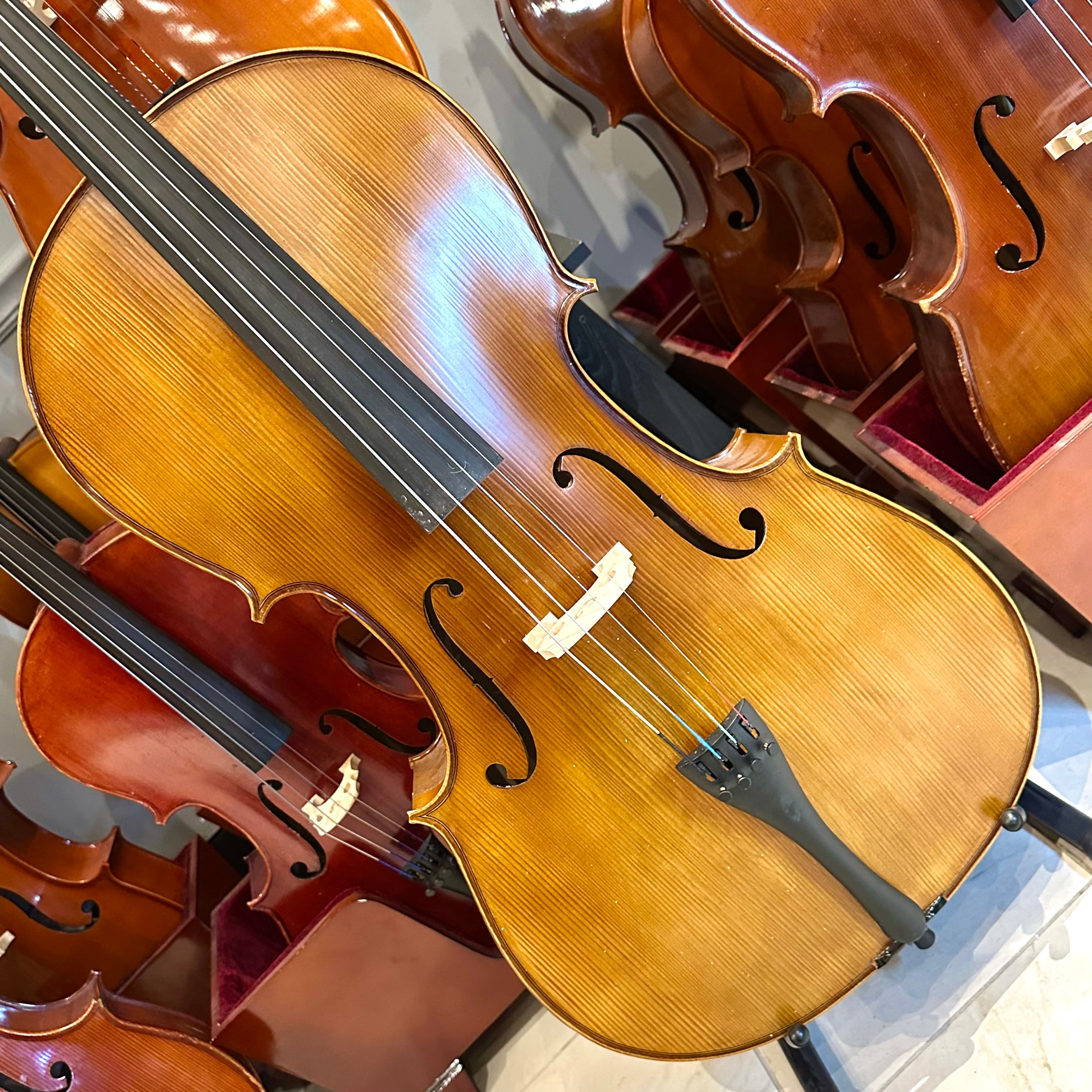 Strumenti a Corde 205-10: Student Cello, Solid, Matte, 4/4