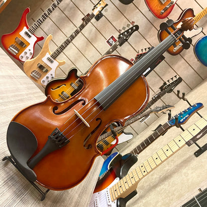 Strumenti a corde: 3500 - Student Violin, Hand Carved, Matte Art Flame