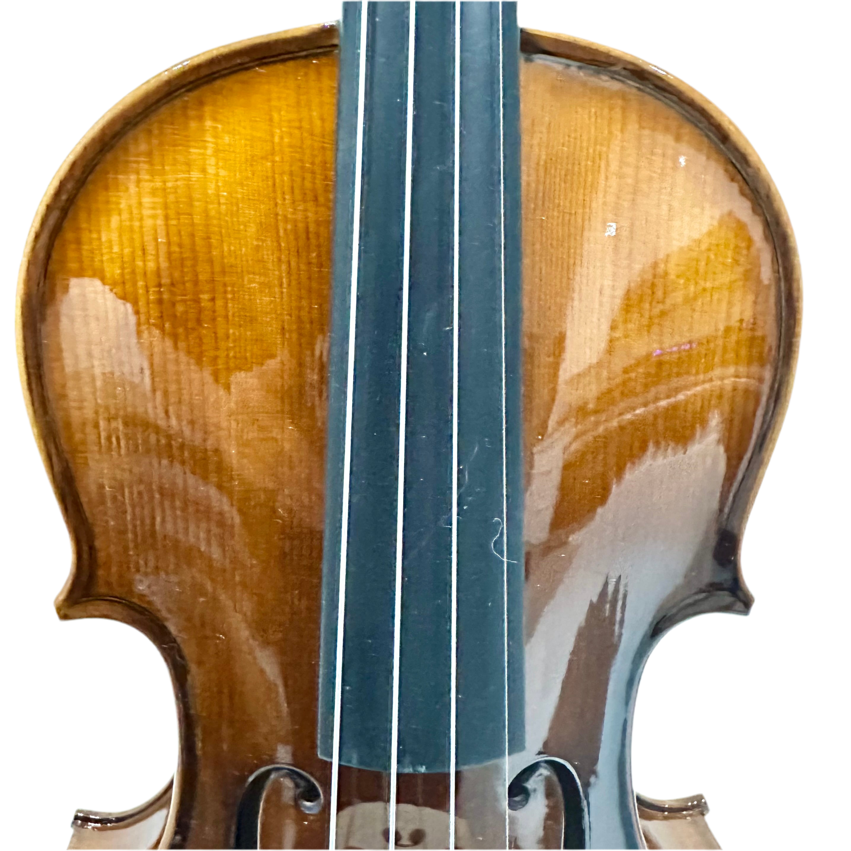 Phoenix MVZ101E Economical Violin - 4/4