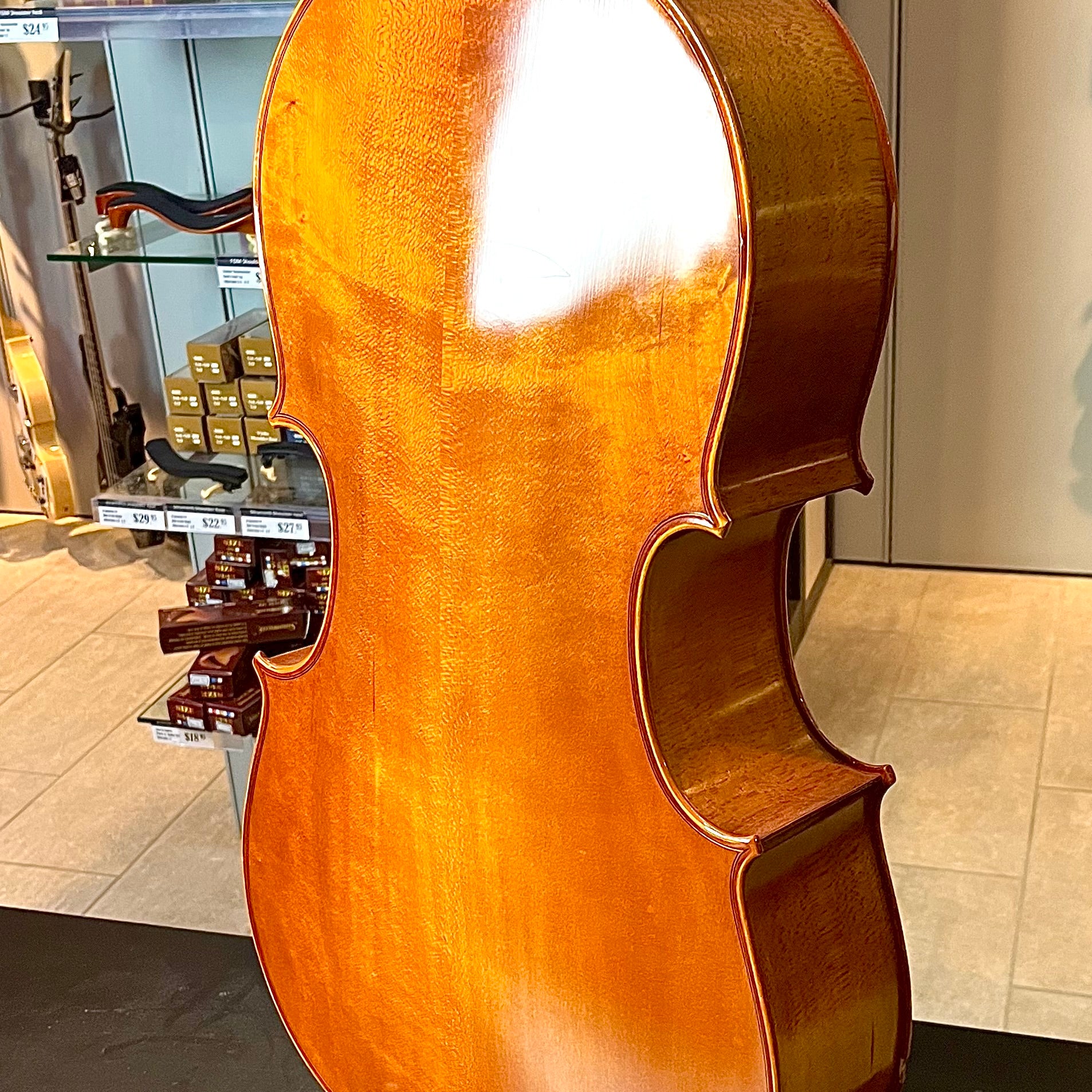 Segue: Concertino, 1/2 Cello, anno 2012