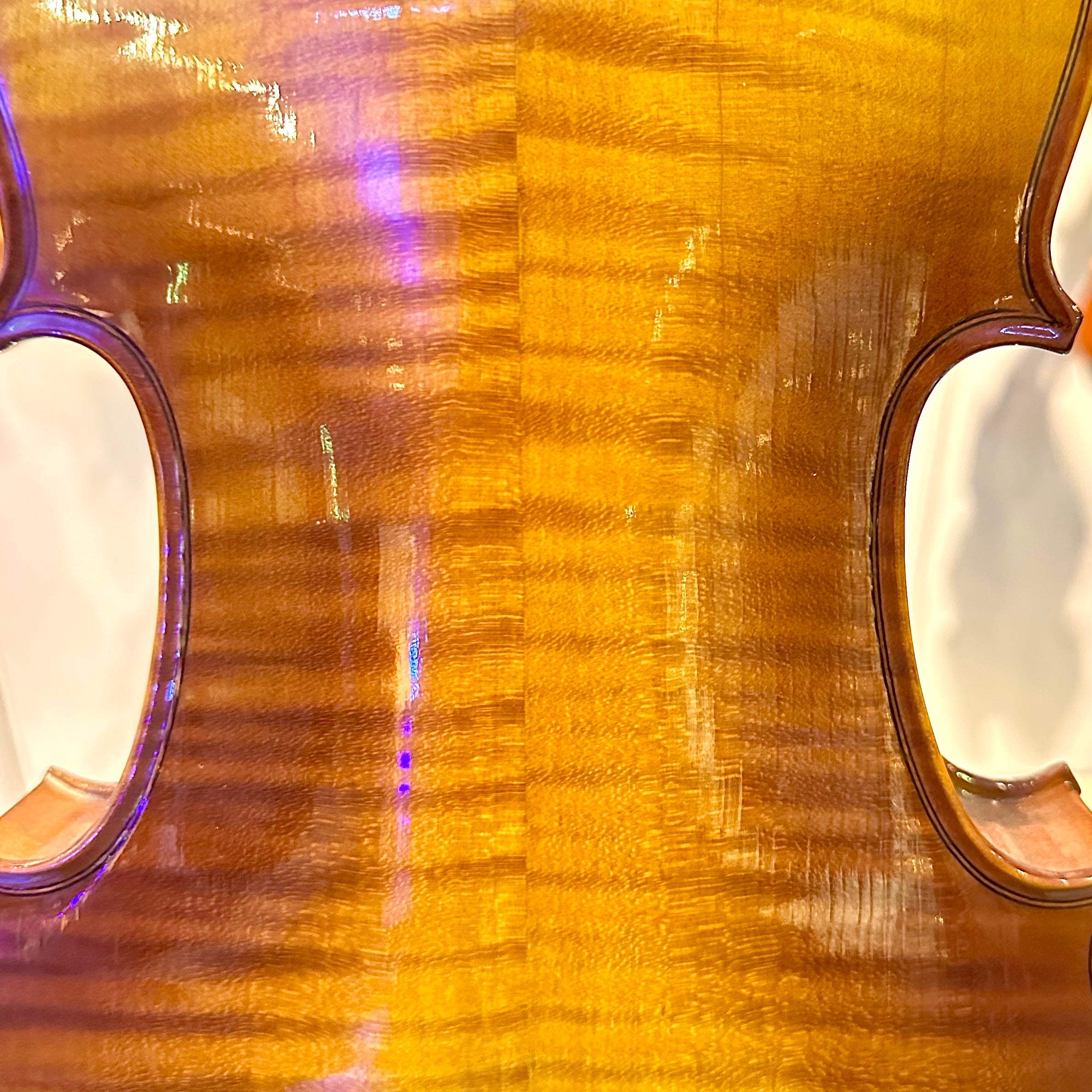 Strumenti a Corde 4500: Student Violin, Style B - 4/4