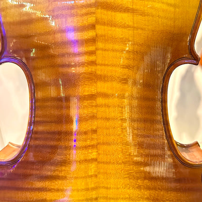 Strumenti a Corde 4500: Student Violin, Style B - 4/4