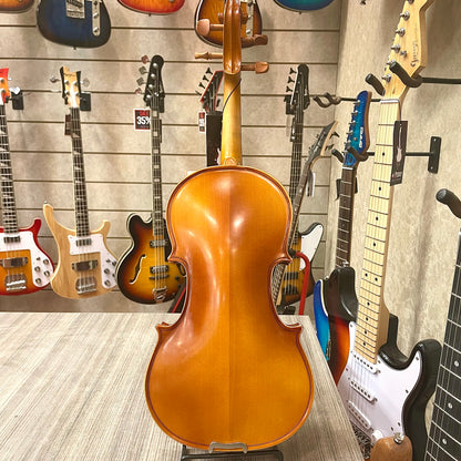 Strumenti a corde: 3000 - Student Violin, Hand Carved, JuJu Wood Parts