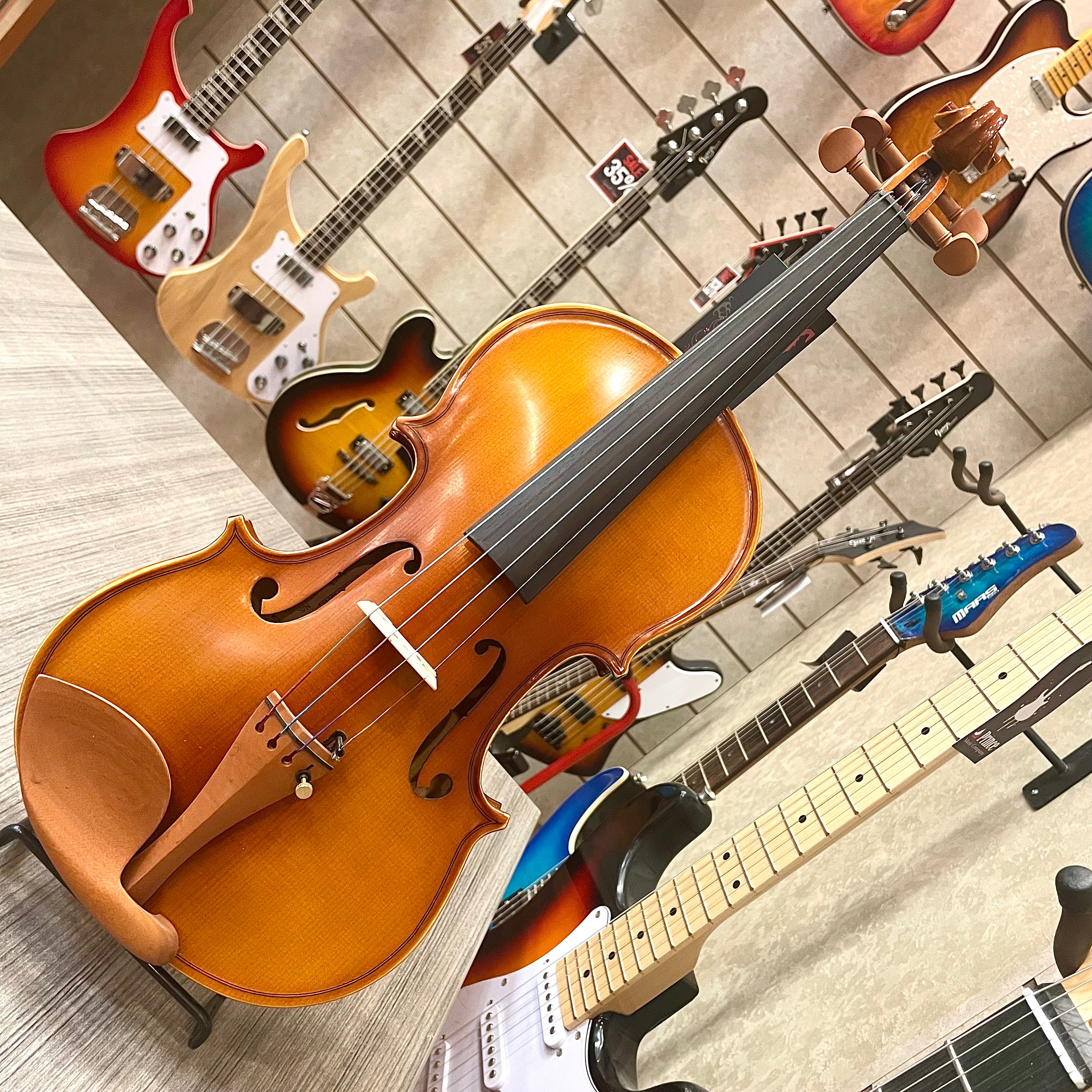 Strumenti a corde: 3000 - Student Violin, Hand Carved, JuJu Wood Parts