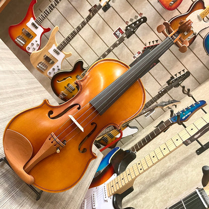 Strumenti a corde: 3000 - Student Violin, Hand Carved, JuJu Wood Parts