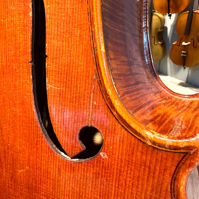 Golden Bamboo from Quinn Violin: 1/2 Cello, anno 2000