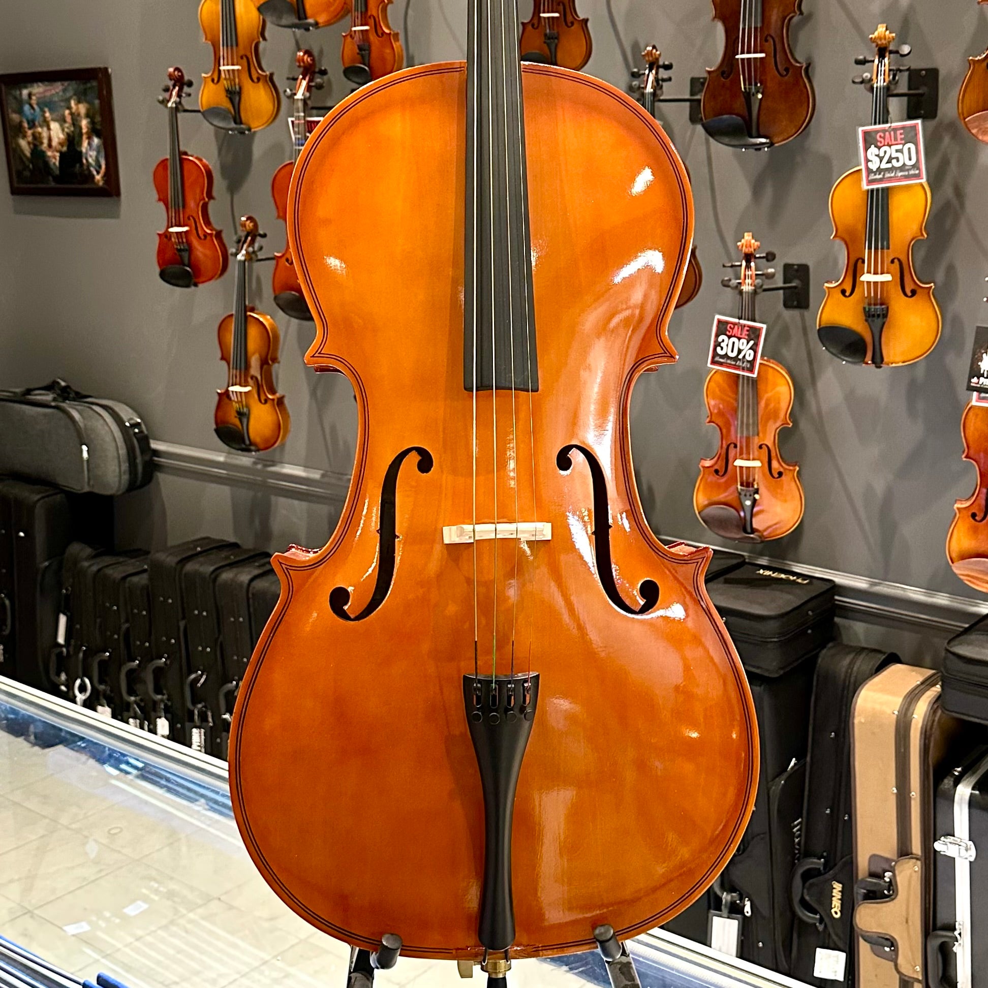 cello Cello Case Eastman Z-tek Deluxe - Linda West Cellos