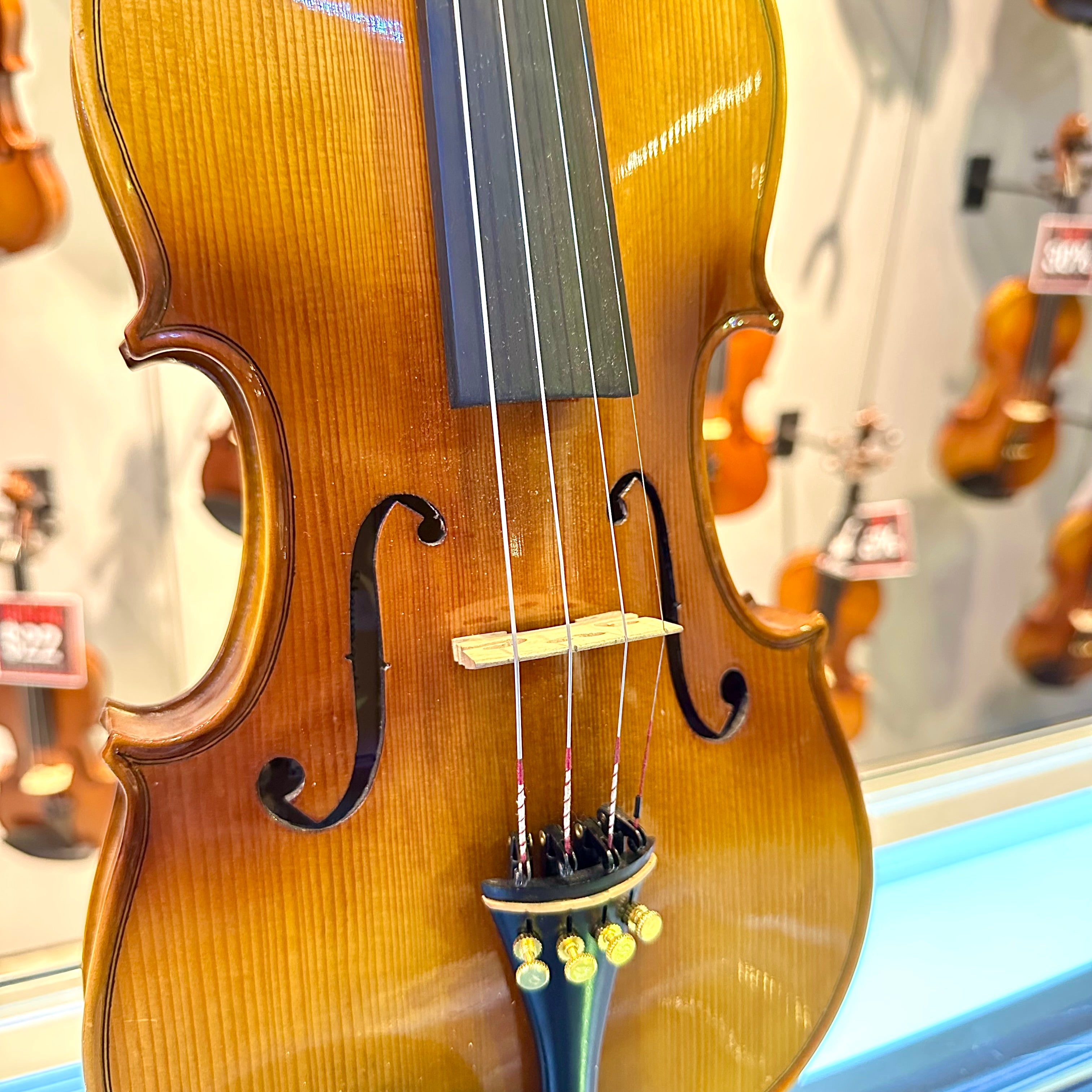 Strumenti a Corde 4500: Student Violin, Style B - 4/4