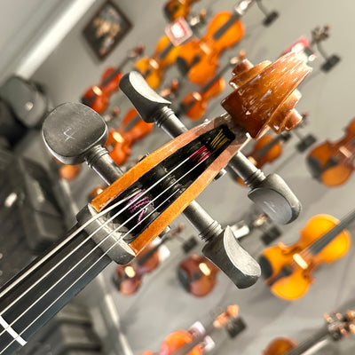 Strumenti a Corde: 205, 1/2 Cello, anno 2018