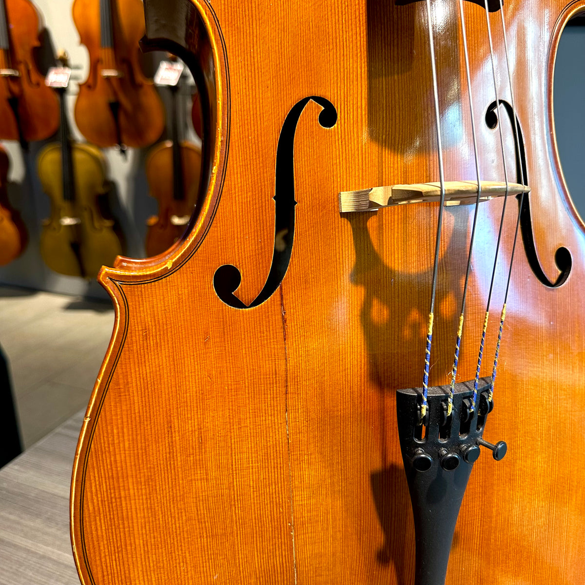 Segue: Concertino Plus, 1/2 Cello, anno 2016