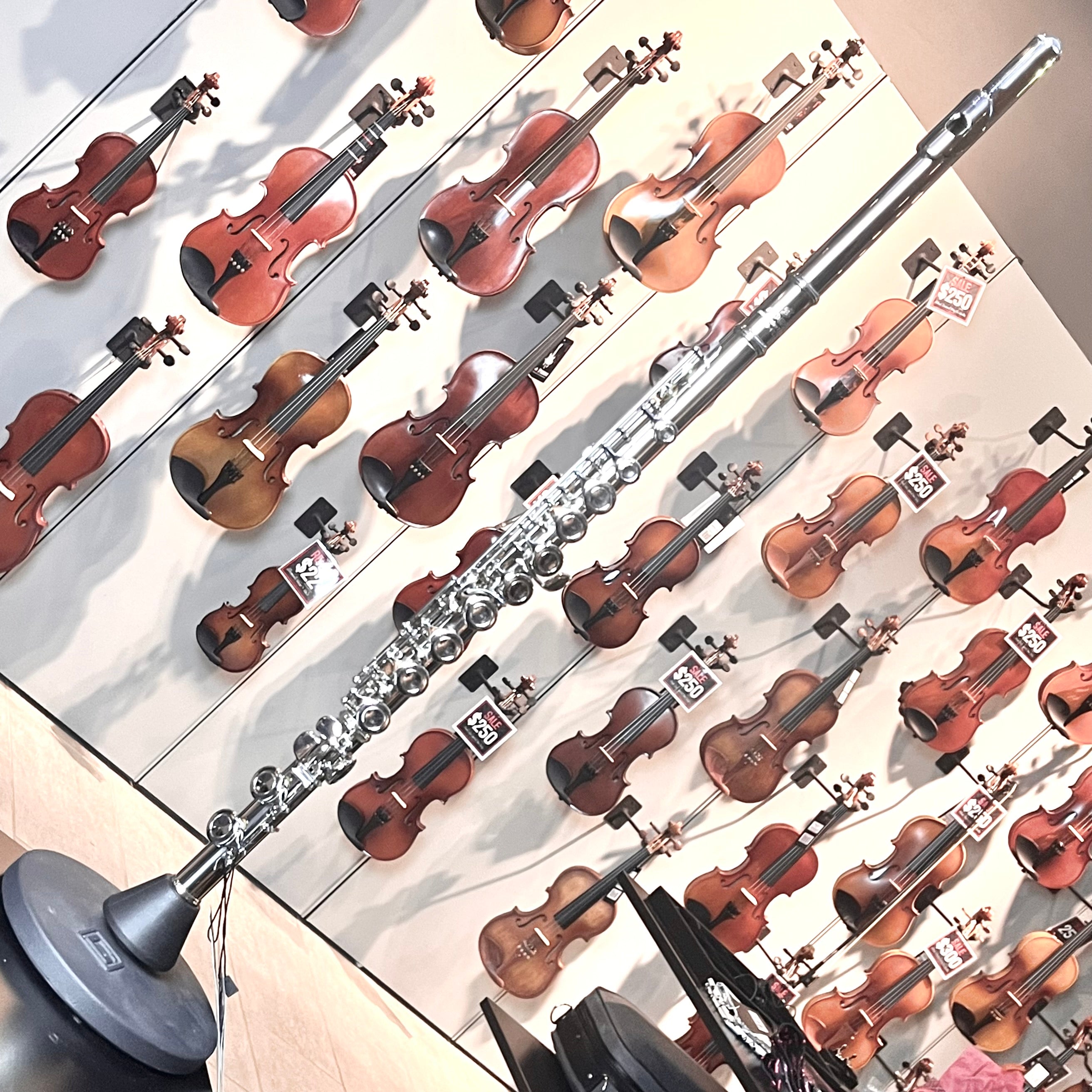 Hod Beginner: Student Flute, Ecomonical