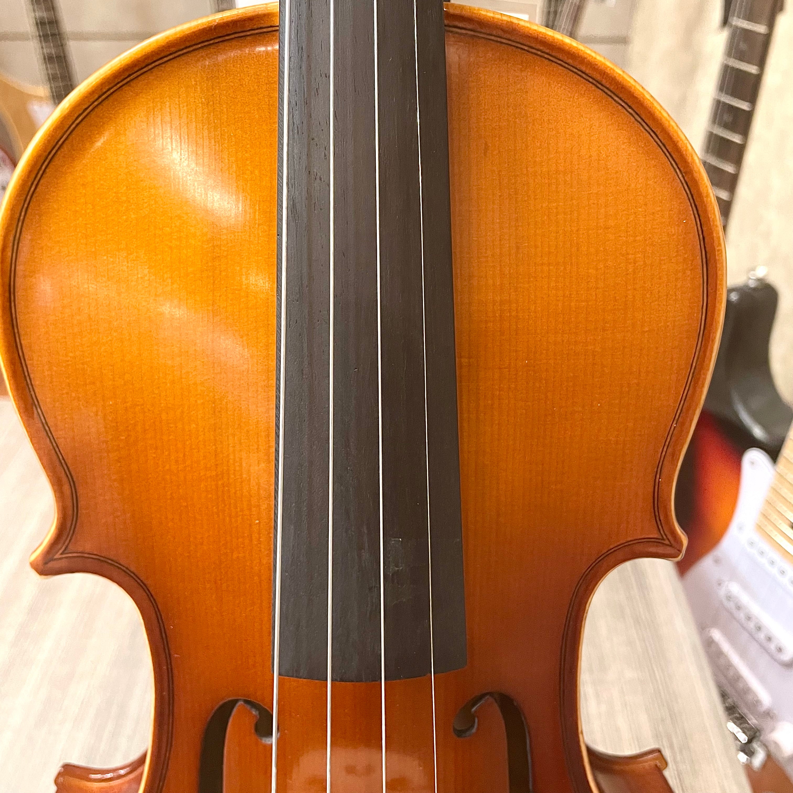 Strumenti a corde: 3000 - Student Violin, Hand Carved, JuJu Wood Parts