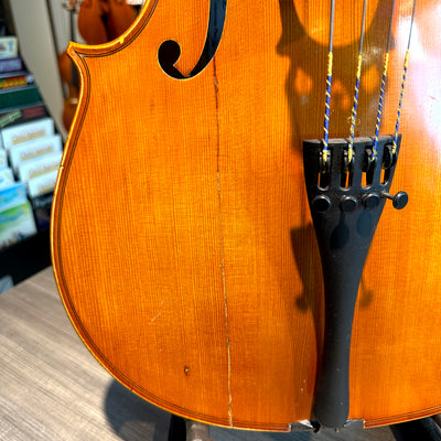 Segue: Concertino Plus, 1/2 Cello, anno 2016