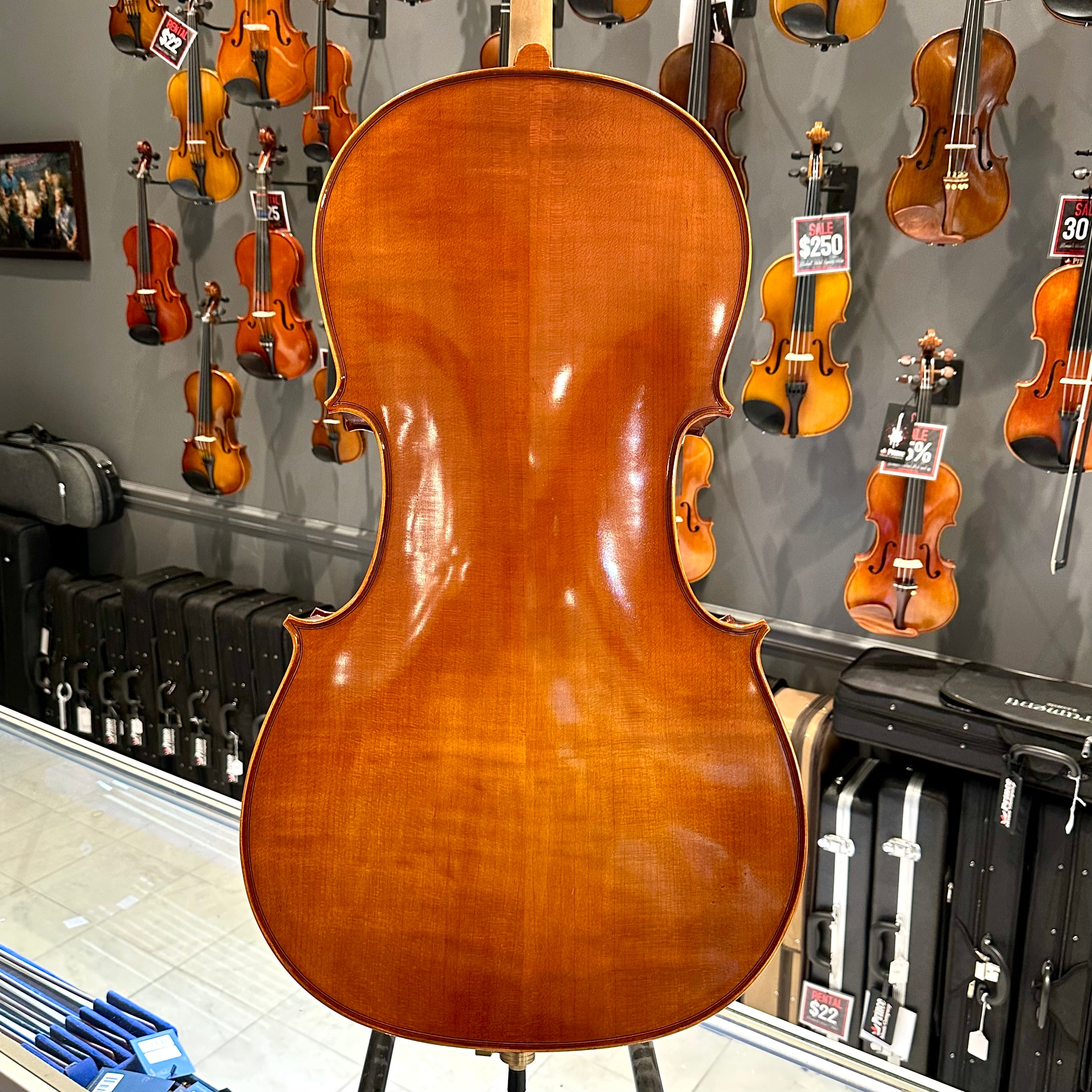 Eastman VC100: Student Cello - 4/4