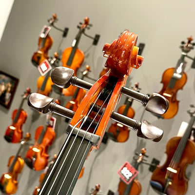 Strumenti a Corde 108: Student Cello, Solid Spruce Top, Glossy Finish - 4/4