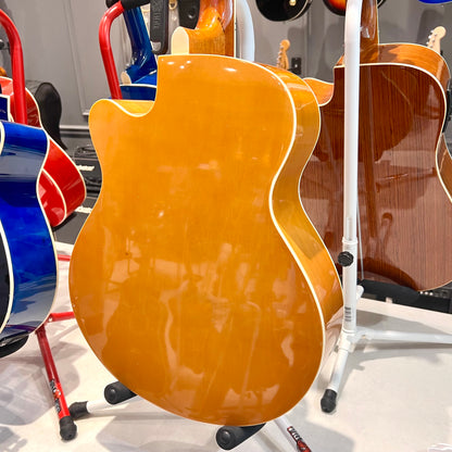 Gephardt Debut: 40” Acoustic, Sunburst