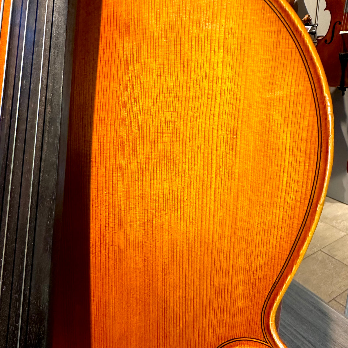 Segue: Concertino Plus, 1/2 Cello, anno 2016