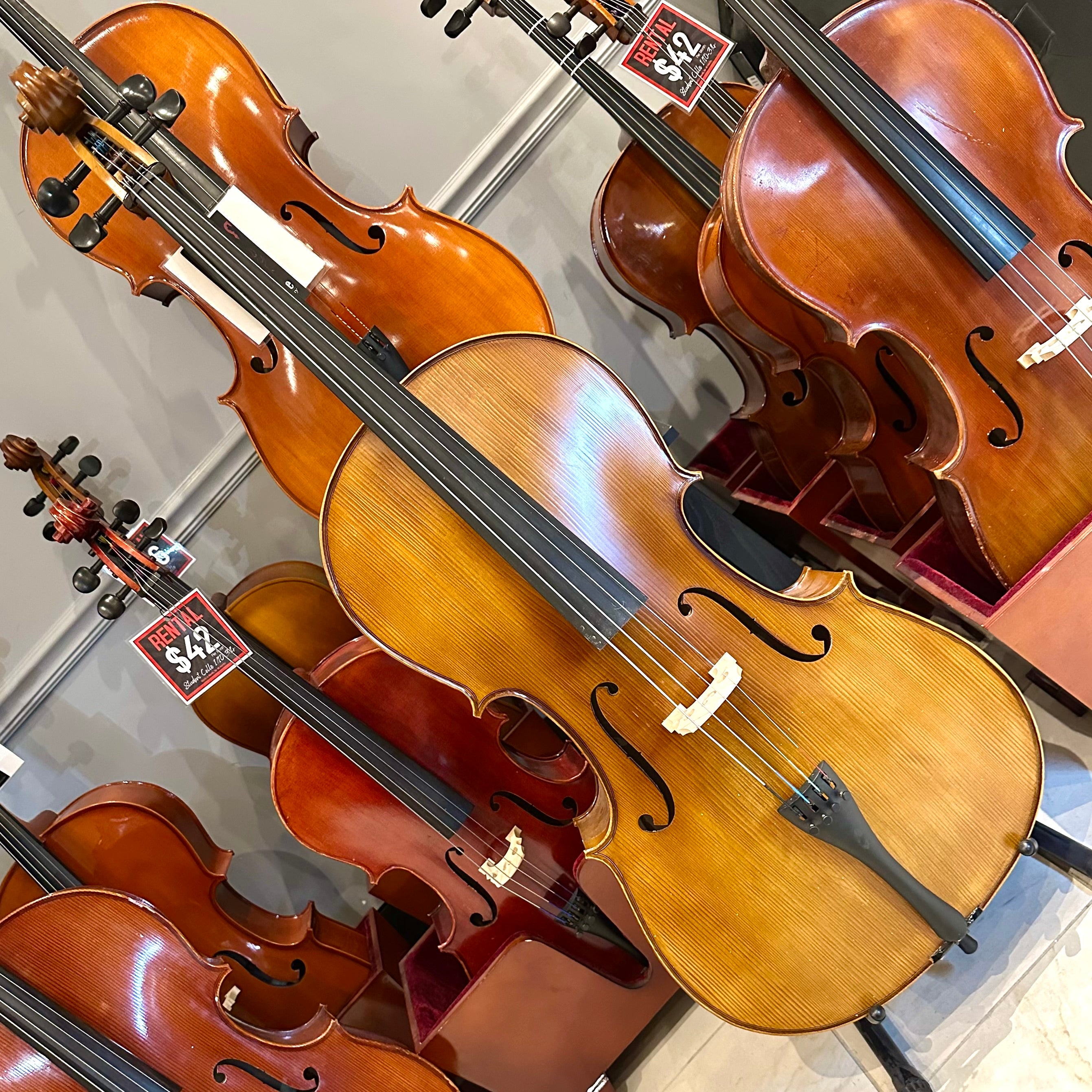 Strumenti a Corde 205-10: Student Cello, Solid, Matte, 4/4