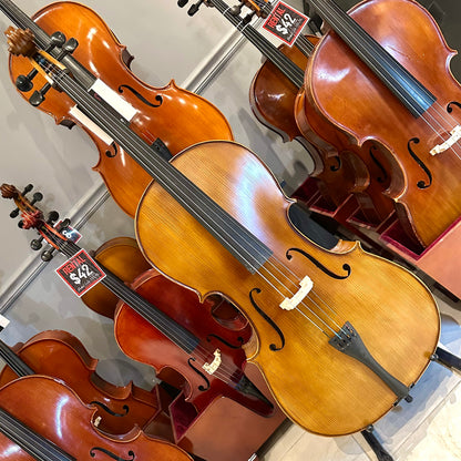 Strumenti a Corde 205-10: Student Cello, Solid, Matte, 4/4