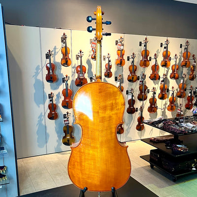 Segue: Concertino, 1/2 Cello, anno 2012