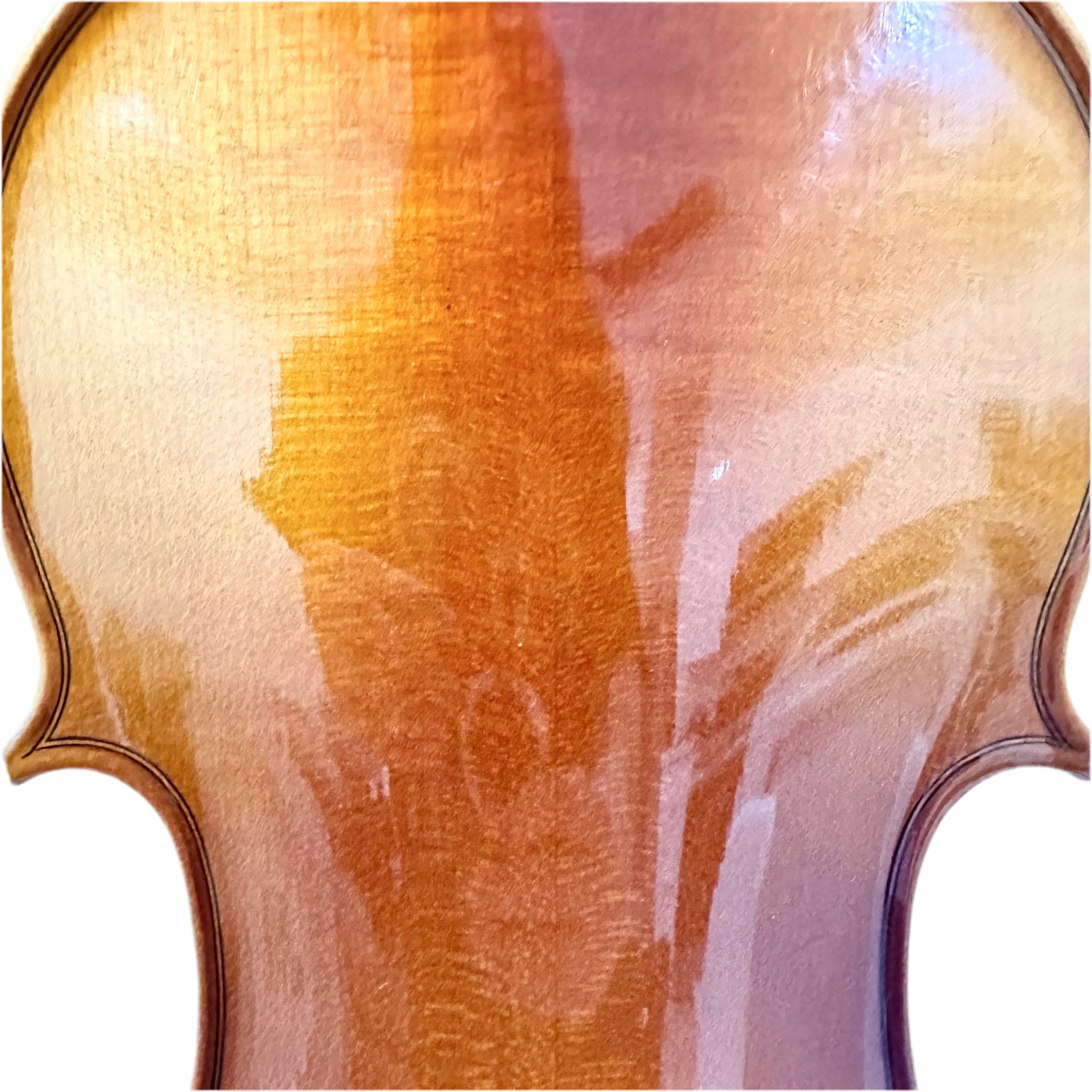 Phoenix MVP201E-KY: Economical Violin, color B - 4/4