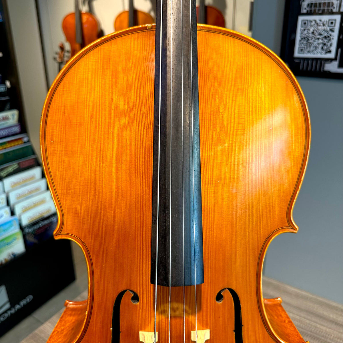 Segue: Concertino Plus, 1/2 Cello, anno 2016