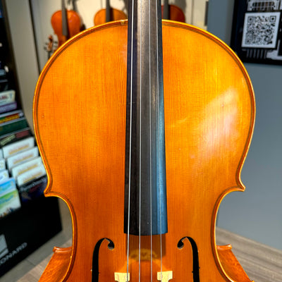 Segue: Concertino Plus, 1/2 Cello, anno 2016