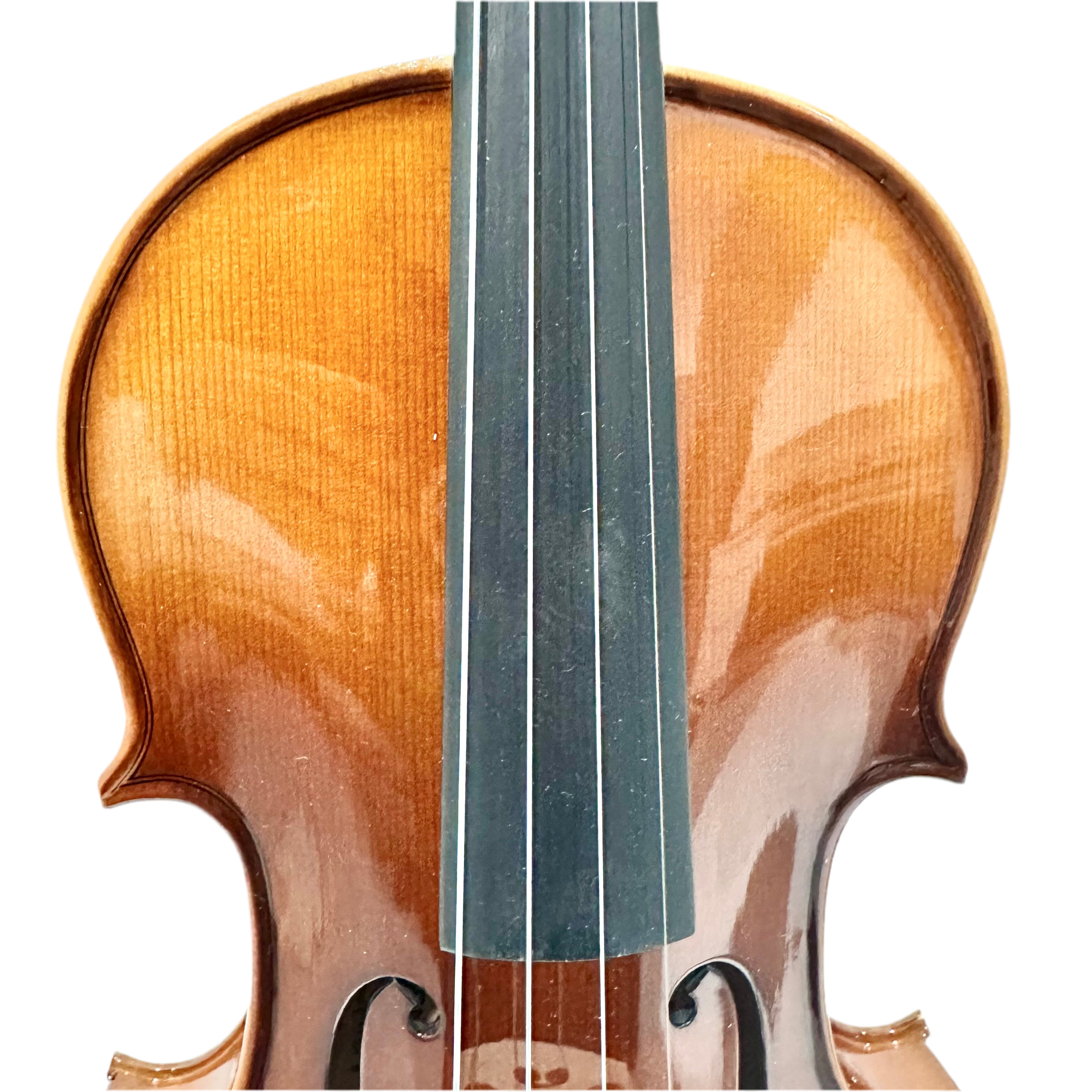 Phoenix MVP201E-KY: Economical Violin, color A - 4/4