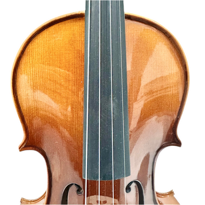 Phoenix MVP201E-KY: Economical Violin, color A - 4/4