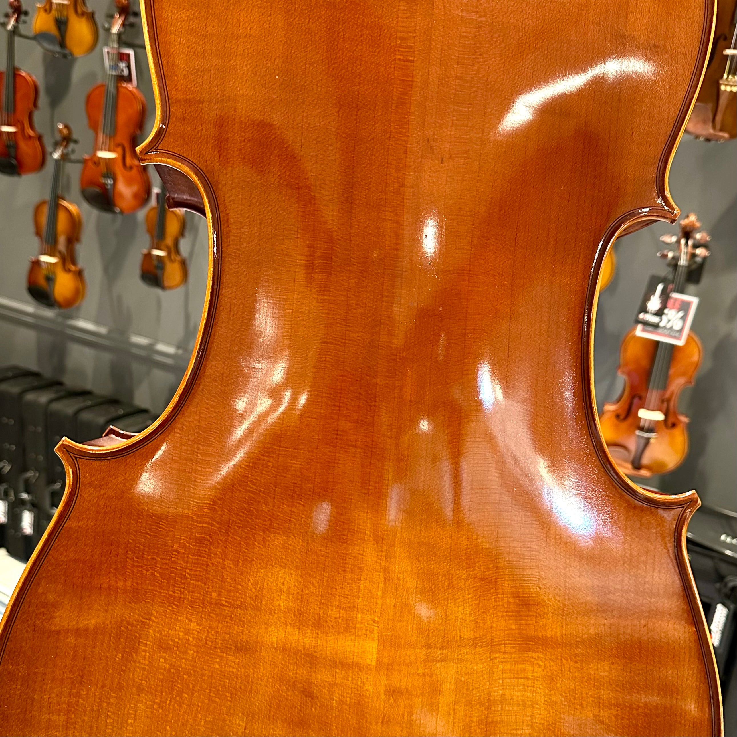 Eastman VC100: Student Cello - 4/4
