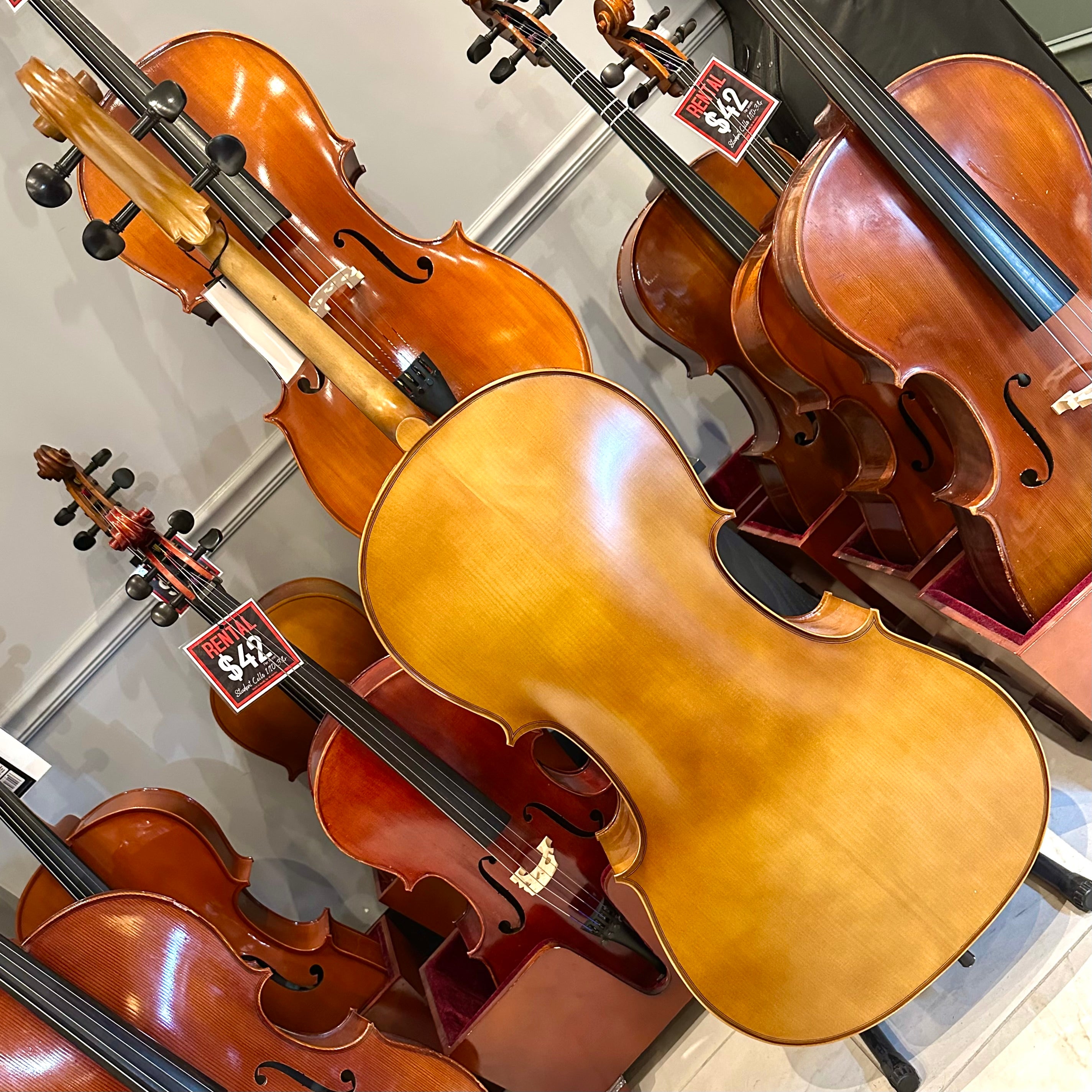 Strumenti a Corde 205-10: Student Cello, Solid, Matte, 4/4