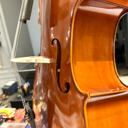 Eastman VC100: Student Cello - 4/4