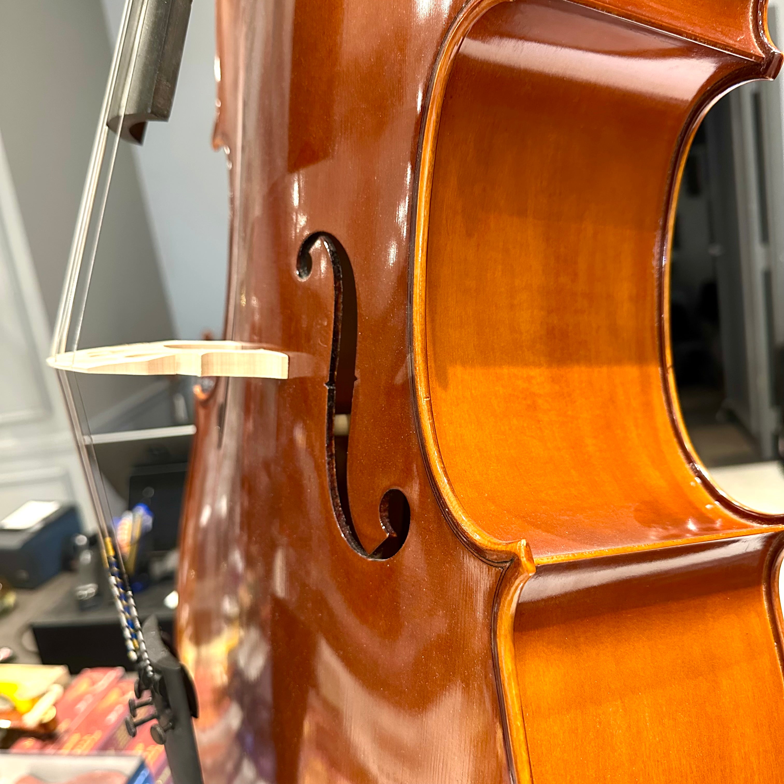 Eastman VC100: Student Cello - 4/4