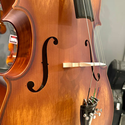Strumenti a Corde 107: Student Cello, Solid Spruce Top, Matte Finish - 4/4