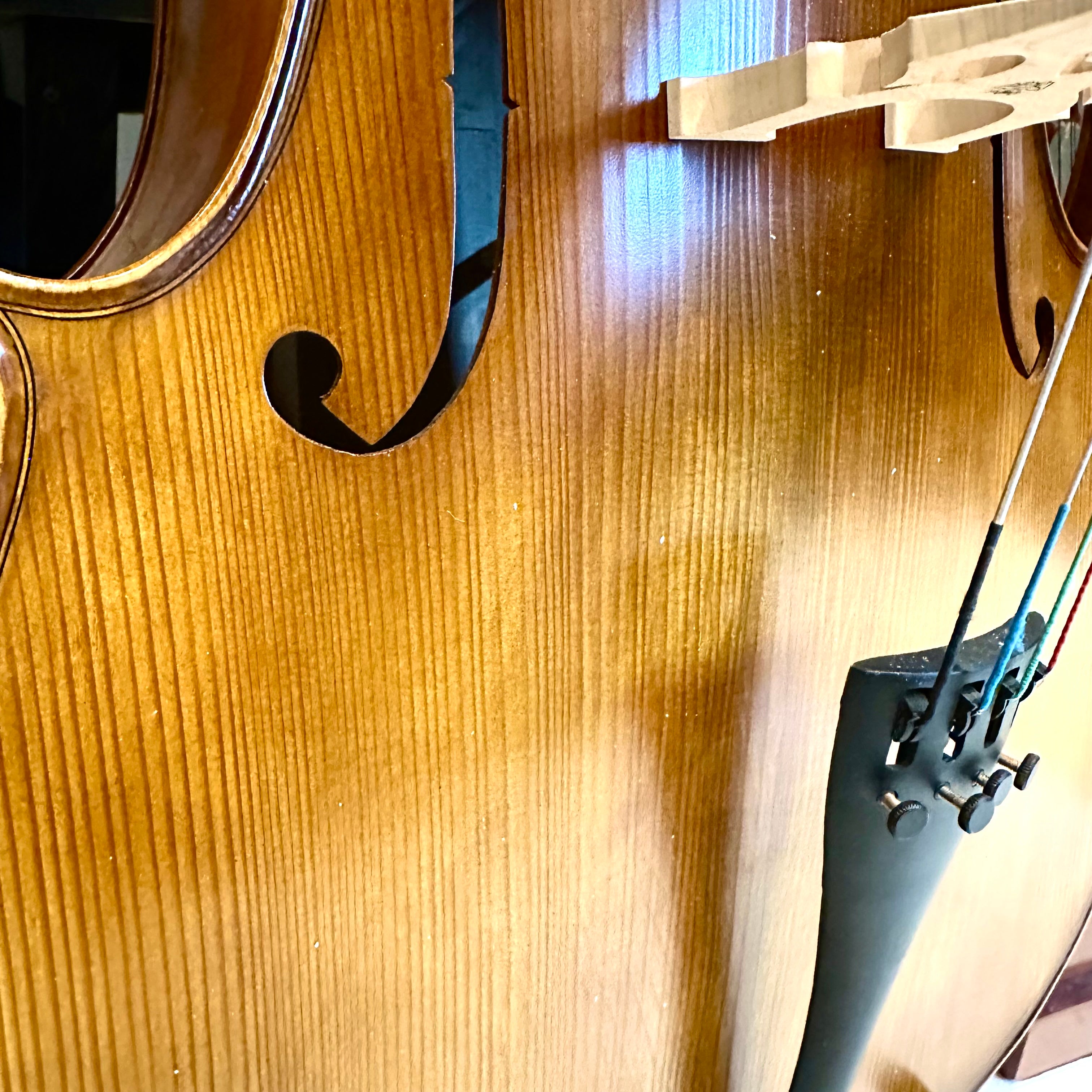 Strumenti a Corde 205-10: Student Cello, Solid, Matte, 4/4