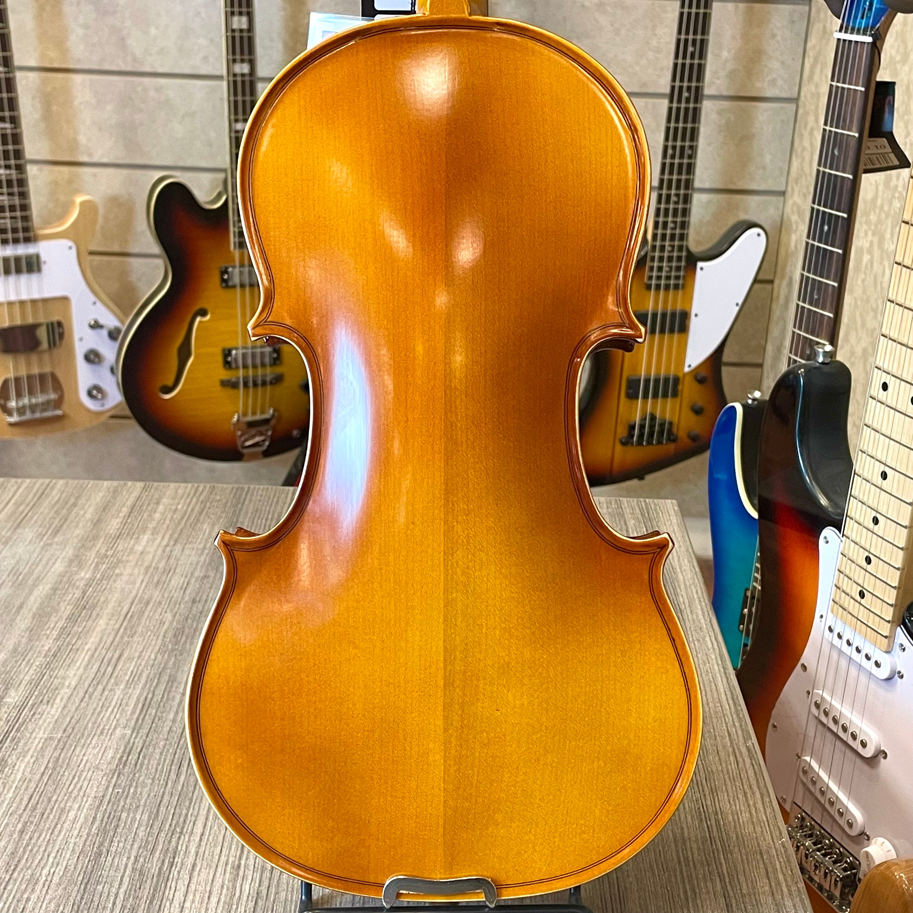 Strumenti a corde: 3000 - Student Violin, Hand Carved, JuJu Wood Parts