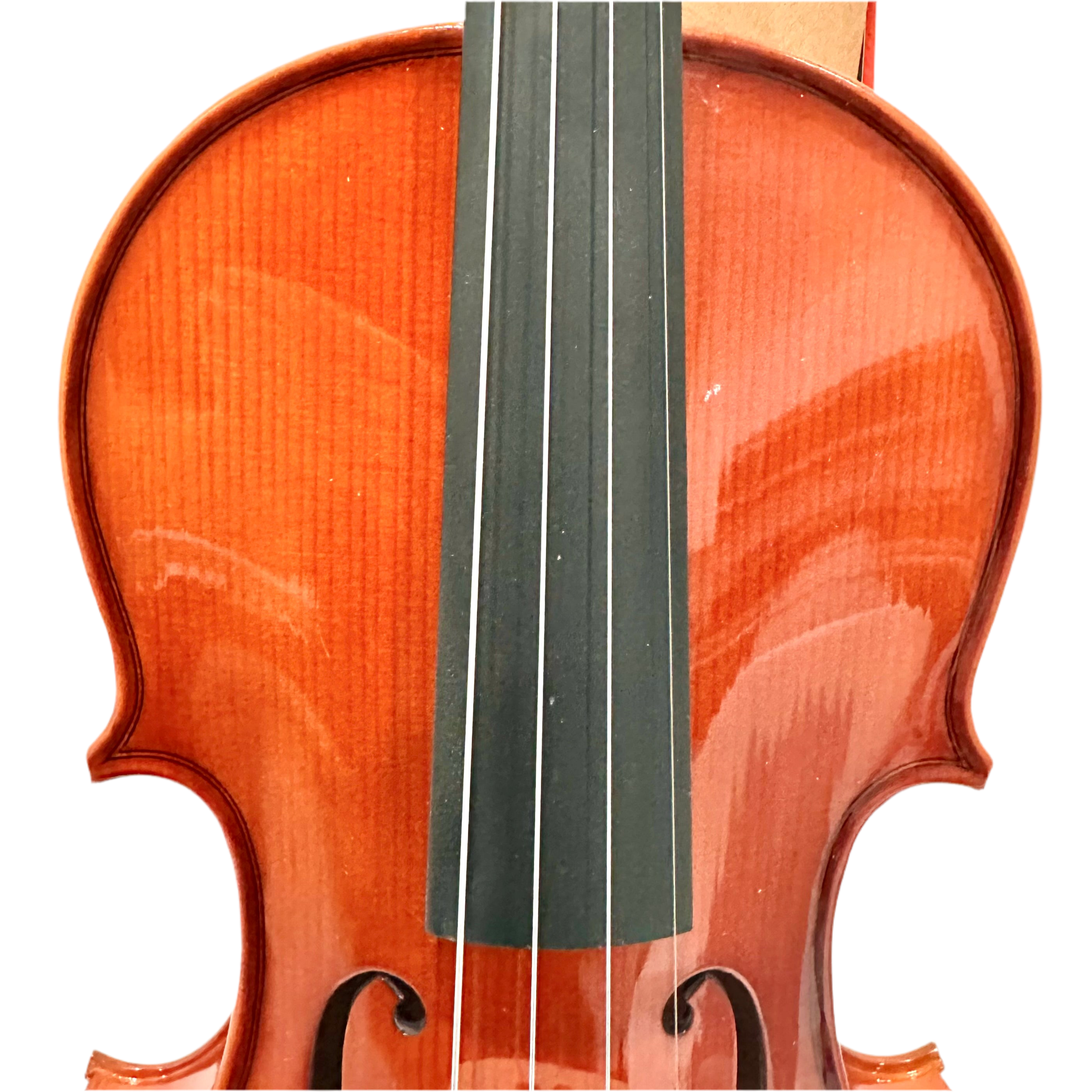 Phoenix MVP101H Evonomical Violin - 4/4
