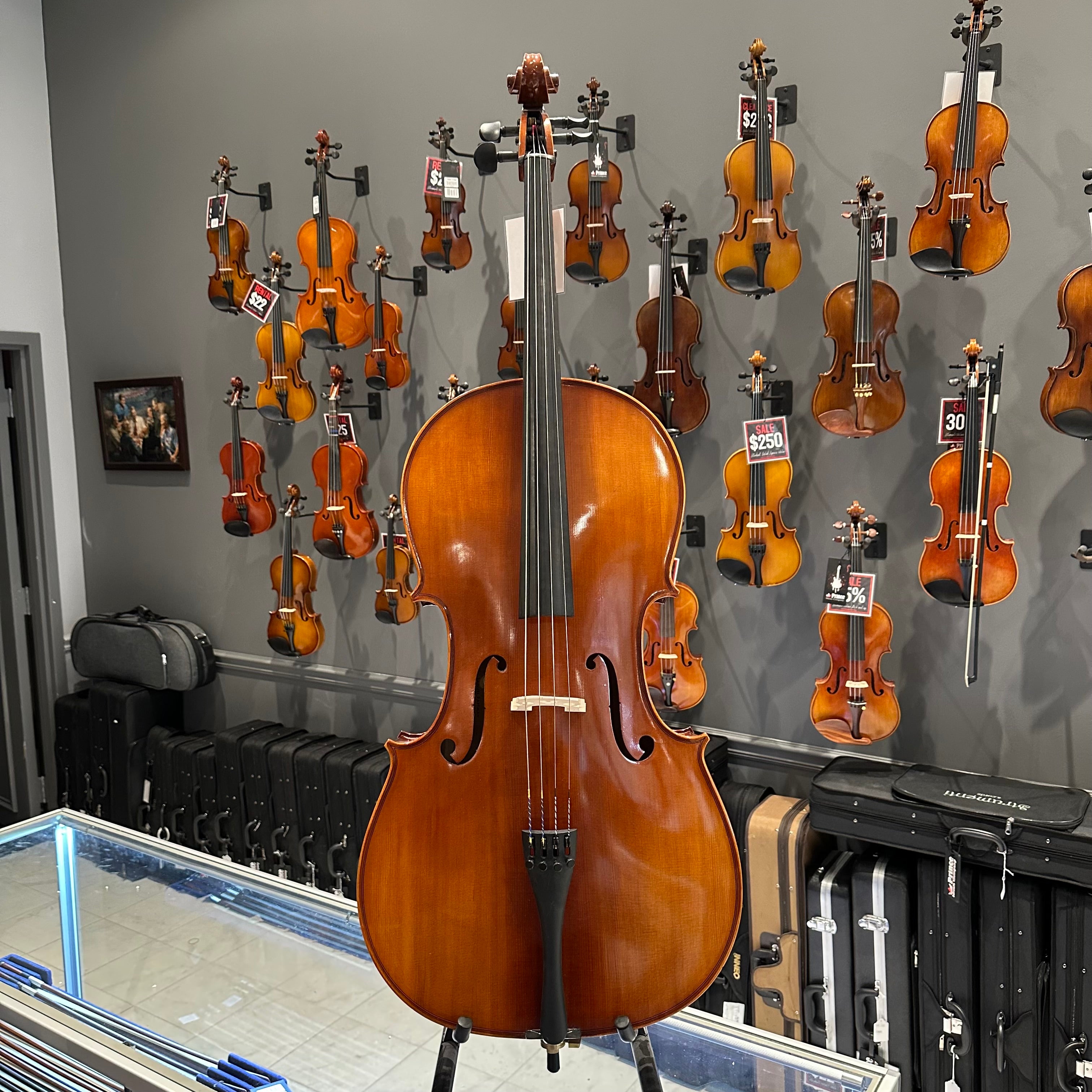 Eastman VC100: Student Cello - 4/4