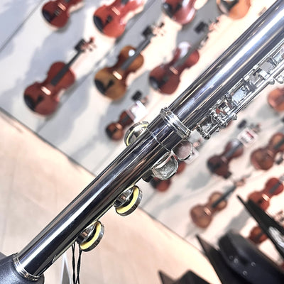 Hod Beginner: Student Flute, Ecomonical